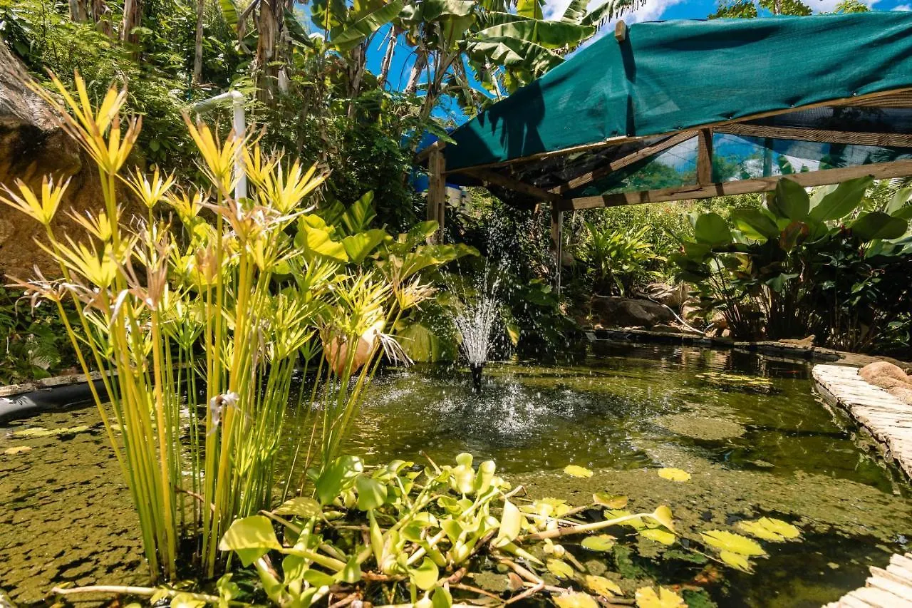 Hotel Paradise Chalets Yoga & Wellness Takamaka Seychelles