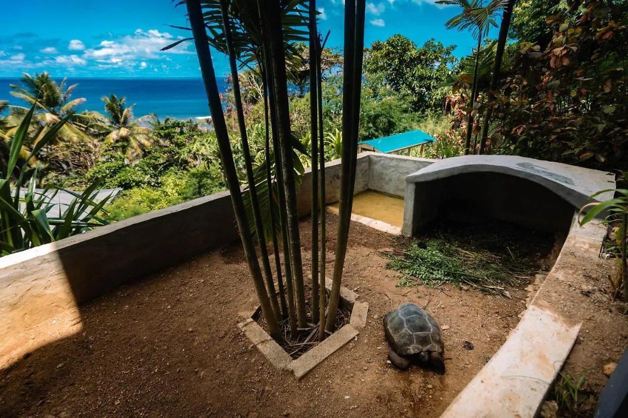Paradise Chalets Yoga & Wellness Takamaka