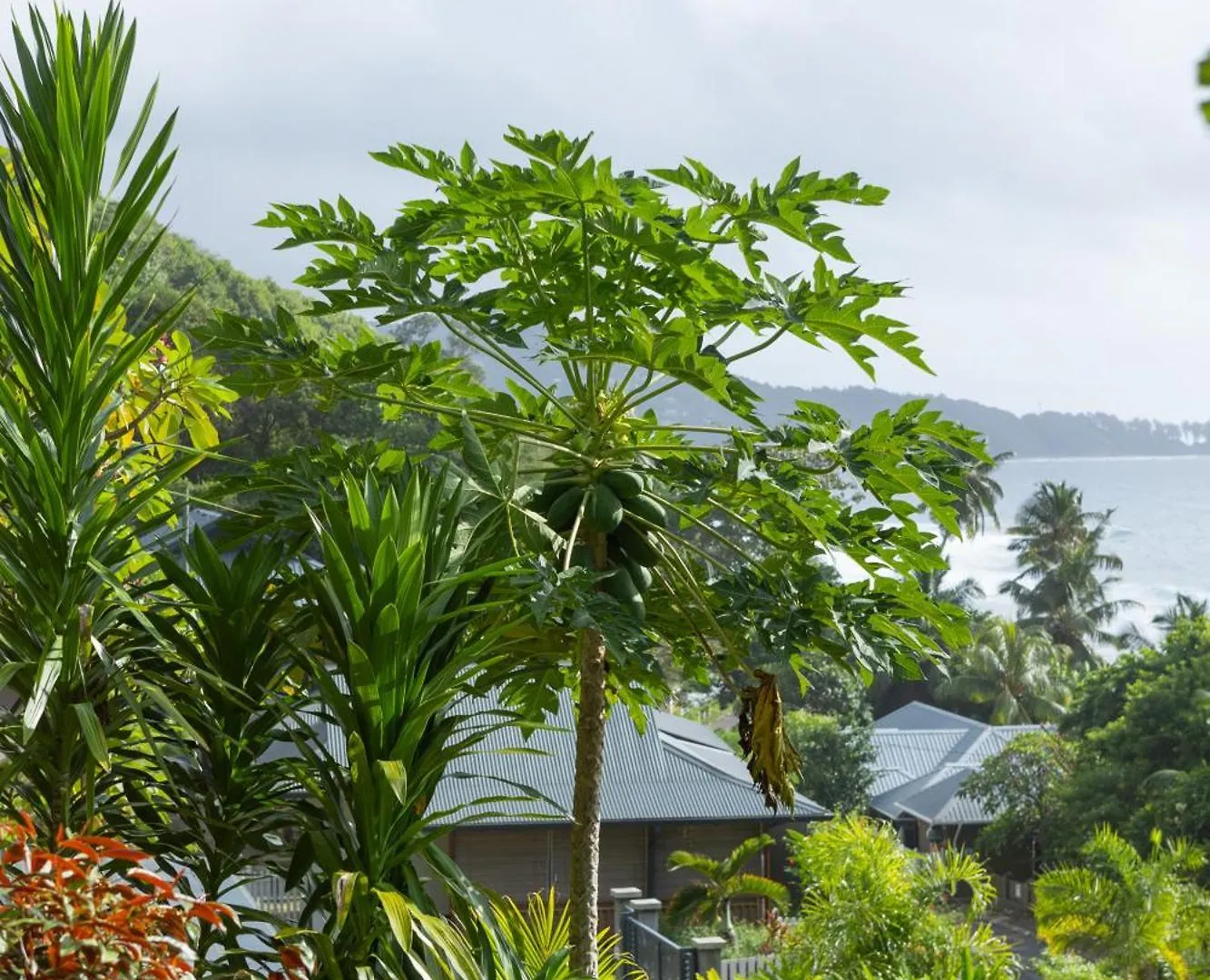 Hotel Paradise Chalets Yoga & Wellness Takamaka