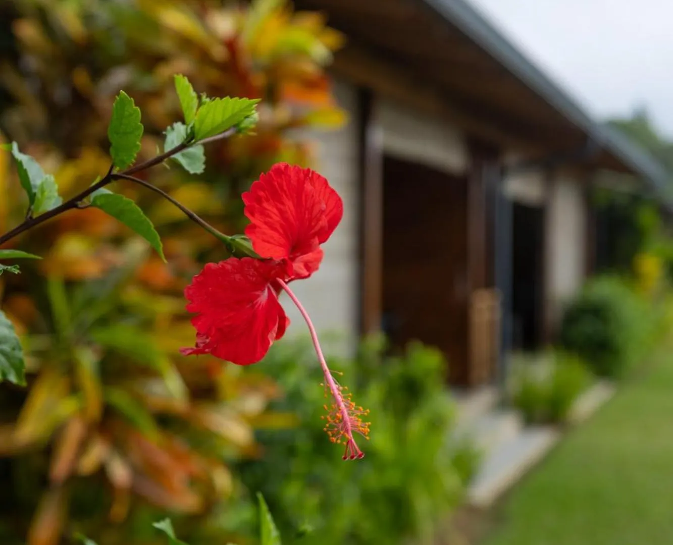 Paradise Chalets Yoga & Wellness Takamaka